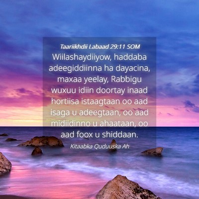 Picture 04 - Taariikhdii Labaad 29:11 SOM - Wiilashaydiiyow, haddaba adeegiddiinna ha - Bible Verse Picture