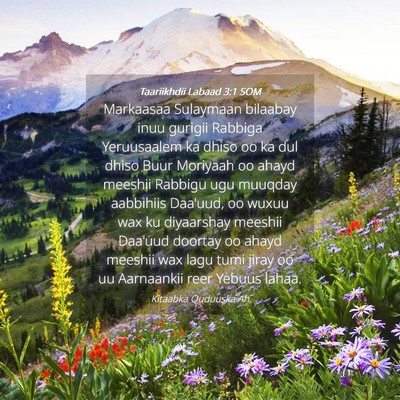 Picture 04 - Taariikhdii Labaad 3:1 SOM - Markaasaa Sulaymaan bilaabay inuu gurigii Rabbiga - Bible Verse Picture