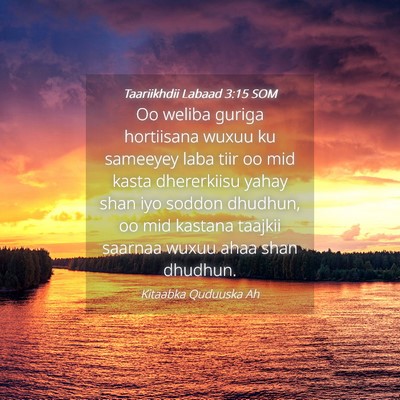 Picture 04 - Taariikhdii Labaad 3:15 SOM - Oo weliba guriga hortiisana wuxuu ku sameeyey - Bible Verse Picture