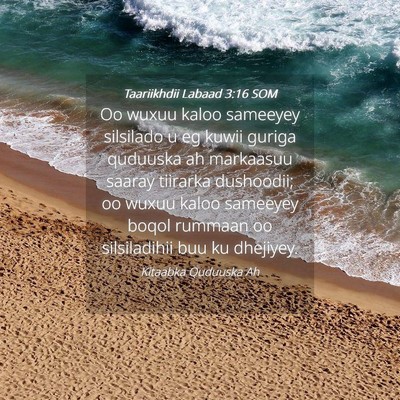 Picture 04 - Taariikhdii Labaad 3:16 SOM - Oo wuxuu kaloo sameeyey silsilado u eg kuwii - Bible Verse Picture
