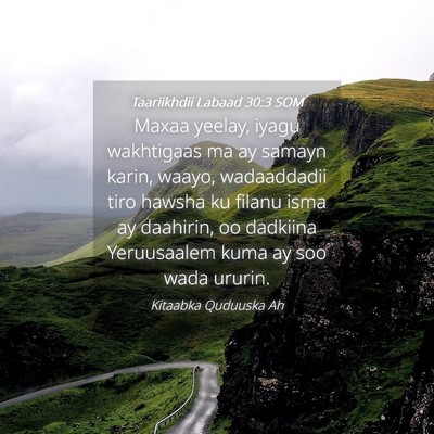 Picture 04 - Taariikhdii Labaad 30:3 SOM - Maxaa yeelay, iyagu wakhtigaas ma ay samayn - Bible Verse Picture