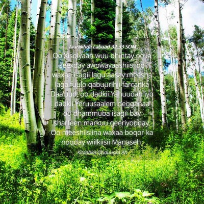 Picture 04 - Taariikhdii Labaad 32:33 SOM - Oo Xisqiyaah wuu dhintay oo la seexday - Bible Verse Picture