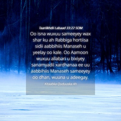 Picture 04 - Taariikhdii Labaad 33:22 SOM - Oo isna wuxuu sameeyey wax shar ku ah Rabbiga - Bible Verse Picture
