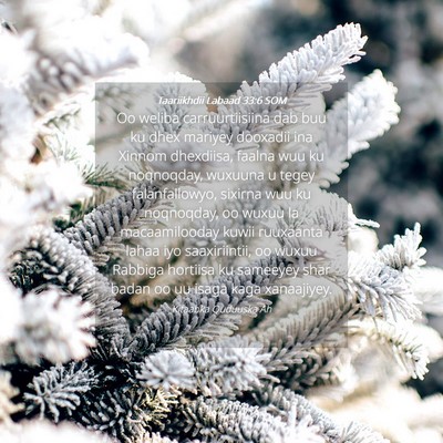 Picture 04 - Taariikhdii Labaad 33:6 SOM - Oo weliba carruurtiisiina dab buu ku dhex mariyey - Bible Verse Picture