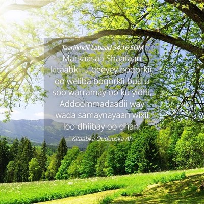 Picture 04 - Taariikhdii Labaad 34:16 SOM - Markaasaa Shaafaan kitaabkii u geeyey boqorkii, - Bible Verse Picture