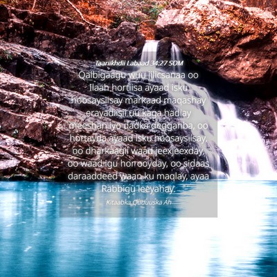 Picture 04 - Taariikhdii Labaad 34:27 SOM - Qalbigaagu wuu jilicsanaa oo Ilaah hortiisa ayaad - Bible Verse Picture