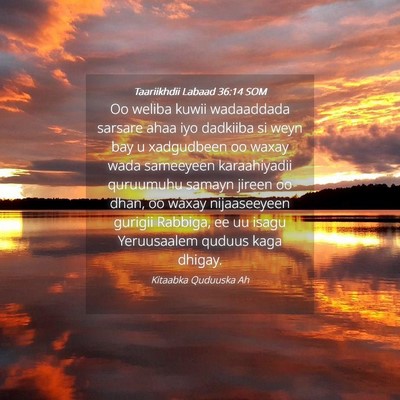 Picture 04 - Taariikhdii Labaad 36:14 SOM - Oo weliba kuwii wadaaddada sarsare ahaa iyo - Bible Verse Picture