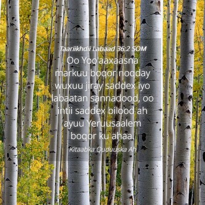 Picture 04 - Taariikhdii Labaad 36:2 SOM - Oo Yoo'aaxaasna markuu boqor noqday wuxuu jiray - Bible Verse Picture
