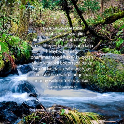 Picture 04 - Taariikhdii Labaad 36:8 SOM - Haddaba Yehooyaaqiim falimihiisii kale, iyo - Bible Verse Picture