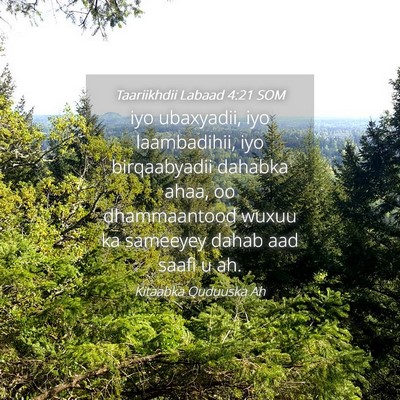 Picture 04 - Taariikhdii Labaad 4:21 SOM - iyo ubaxyadii, iyo laambadihii, iyo birqaabyadii - Bible Verse Picture