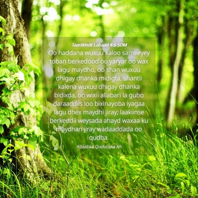 Picture 04 - Taariikhdii Labaad 4:6 SOM - Oo haddana wuxuu kaloo sameeyey toban berkedood - Bible Verse Picture