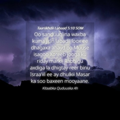 Picture 04 - Taariikhdii Labaad 5:10 SOM - Oo sanduuqiina waxba kuma jirin labadii loox ee - Bible Verse Picture