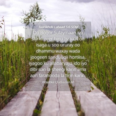 Picture 04 - Taariikhdii Labaad 5:6 SOM - Oo Boqor Sulaymaan iyo shirkii reer binu - Bible Verse Picture