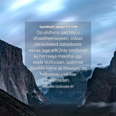 Picture 04 - Taariikhdii Labaad 5:9 SOM - Oo uluhuna aad bay u dhaadheeraayeen, sidaas - Bible Verse Picture
