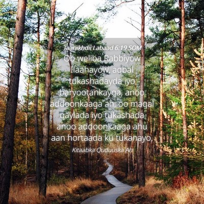 Picture 04 - Taariikhdii Labaad 6:19 SOM - Oo weliba Rabbiyow Ilaahayow, aqbal tukashadayda - Bible Verse Picture