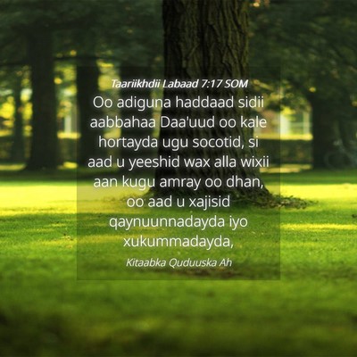 Picture 04 - Taariikhdii Labaad 7:17 SOM - Oo adiguna haddaad sidii aabbahaa Daa'uud oo kale - Bible Verse Picture