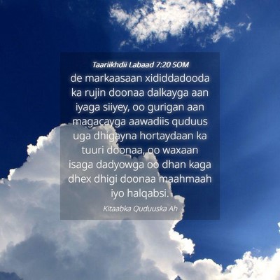 Picture 04 - Taariikhdii Labaad 7:20 SOM - de markaasaan xididdadooda ka rujin doonaa - Bible Verse Picture