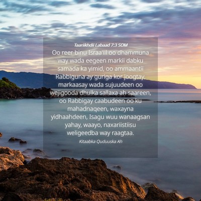 Picture 04 - Taariikhdii Labaad 7:3 SOM - Oo reer binu Israa'iil oo dhammuna way wada - Bible Verse Picture