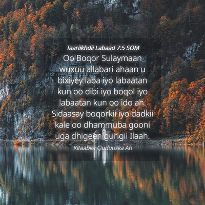 Picture 04 - Taariikhdii Labaad 7:5 SOM - Oo Boqor Sulaymaan wuxuu allabari ahaan u bixiyey - Bible Verse Picture