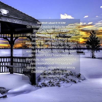 Picture 04 - Taariikhdii Labaad 8:14 SOM - Oo kooxihii wadaaddadu ku adeegi jireen iyo kuwii - Bible Verse Picture