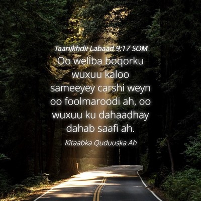 Picture 04 - Taariikhdii Labaad 9:17 SOM - Oo weliba boqorku wuxuu kaloo sameeyey carshi - Bible Verse Picture