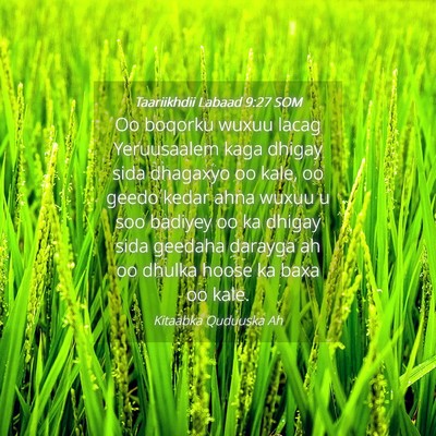 Picture 04 - Taariikhdii Labaad 9:27 SOM - Oo boqorku wuxuu lacag Yeruusaalem kaga dhigay - Bible Verse Picture