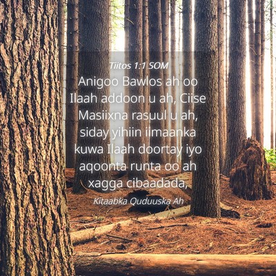 Picture 04 - Tiitos 1:1 SOM - Anigoo Bawlos ah oo Ilaah addoon u ah, Ciise - Bible Verse Picture