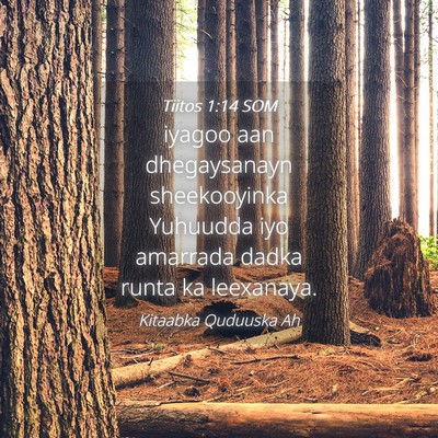 Picture 04 - Tiitos 1:14 SOM - iyagoo aan dhegaysanayn sheekooyinka Yuhuudda iyo - Bible Verse Picture
