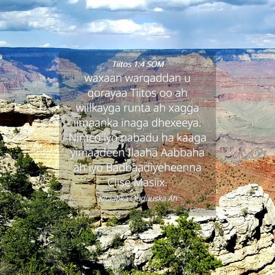 Picture 04 - Tiitos 1:4 SOM - waxaan warqaddan u qorayaa Tiitos oo ah wiilkayga - Bible Verse Picture