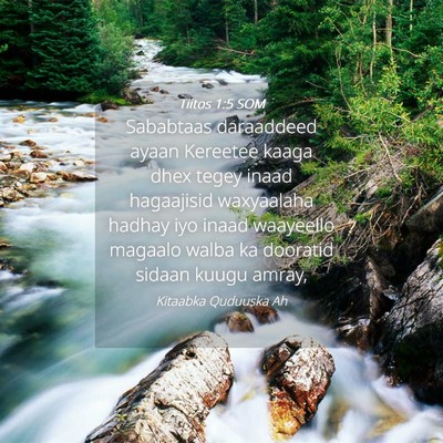 Picture 04 - Tiitos 1:5 SOM - Sababtaas daraaddeed ayaan Kereetee kaaga dhex - Bible Verse Picture