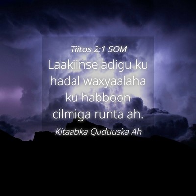Picture 04 - Tiitos 2:1 SOM - Laakiinse adigu ku hadal waxyaalaha ku habboon - Bible Verse Picture