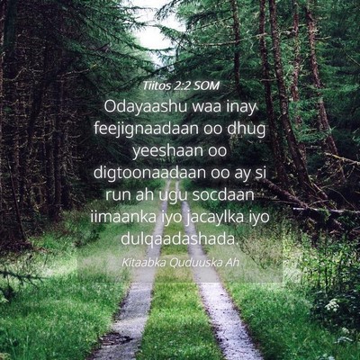 Picture 04 - Tiitos 2:2 SOM - Odayaashu waa inay feejignaadaan oo dhug yeeshaan - Bible Verse Picture