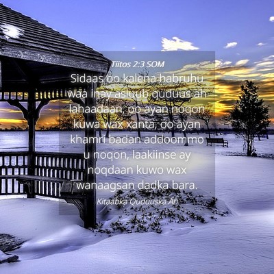 Picture 04 - Tiitos 2:3 SOM - Sidaas oo kalena habruhu waa inay asluub quduus - Bible Verse Picture