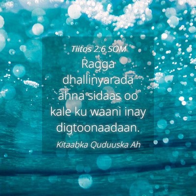 Picture 04 - Tiitos 2:6 SOM - Ragga dhallinyarada ahna sidaas oo kale ku waani - Bible Verse Picture