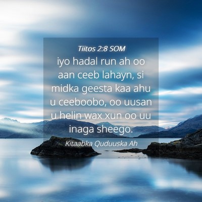 Picture 04 - Tiitos 2:8 SOM - iyo hadal run ah oo aan ceeb lahayn, si midka - Bible Verse Picture