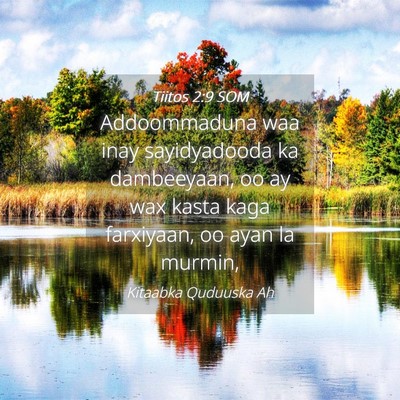 Picture 04 - Tiitos 2:9 SOM - Addoommaduna waa inay sayidyadooda ka dambeeyaan, - Bible Verse Picture