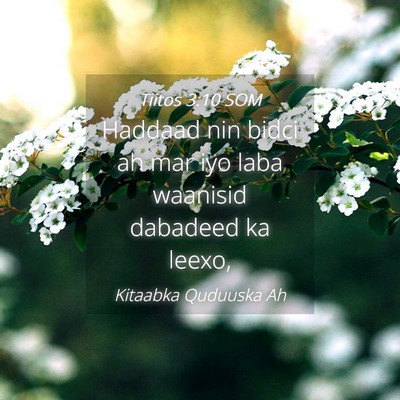 Picture 04 - Tiitos 3:10 SOM - Haddaad nin bidci ah mar iyo laba waanisid - Bible Verse Picture