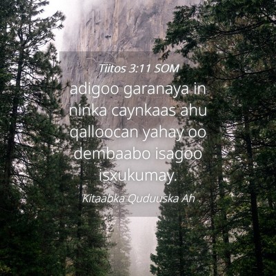 Picture 04 - Tiitos 3:11 SOM - adigoo garanaya in ninka caynkaas ahu qalloocan - Bible Verse Picture