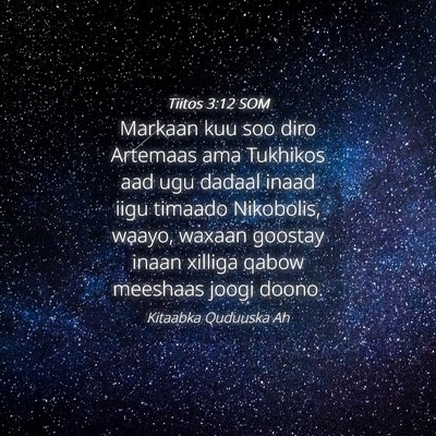 Picture 04 - Tiitos 3:12 SOM - Markaan kuu soo diro Artemaas ama Tukhikos aad - Bible Verse Picture