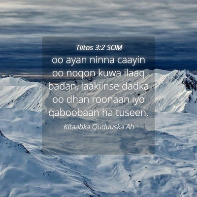 Picture 04 - Tiitos 3:2 SOM - oo ayan ninna caayin oo noqon kuwa ilaaq badan, - Bible Verse Picture