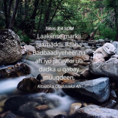 Picture 04 - Tiitos 3:4 SOM - Laakiinse markii raxmaddii Ilaaha - Bible Verse Picture