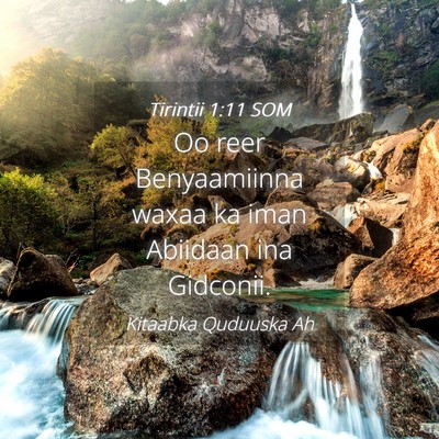 Picture 04 - Tirintii 1:11 SOM - Oo reer Benyaamiinna waxaa ka iman Abiidaan ina - Bible Verse Picture