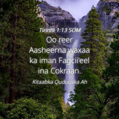 Picture 04 - Tirintii 1:13 SOM - Oo reer Aasheerna waxaa ka iman Fagcii'eel ina - Bible Verse Picture