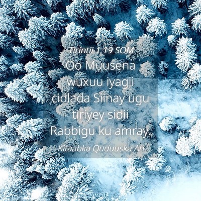 Picture 04 - Tirintii 1:19 SOM - Oo Muusena wuxuu iyagii cidlada Siinay ugu - Bible Verse Picture