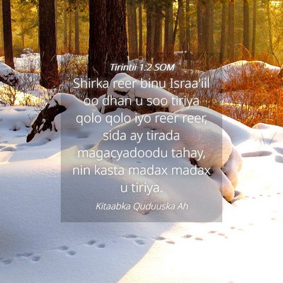 Picture 04 - Tirintii 1:2 SOM - Shirka reer binu Israa'iil oo dhan u soo tiriya - Bible Verse Picture