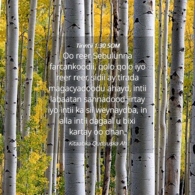 Picture 04 - Tirintii 1:30 SOM - Oo reer Sebulunna farcankoodii, qolo qolo iyo - Bible Verse Picture