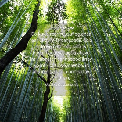 Picture 04 - Tirintii 1:32 SOM - Oo kuwa reer Yuusuf oo ahaa reer Efrayim - Bible Verse Picture
