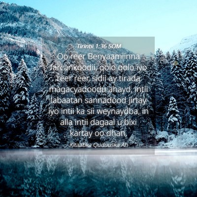 Picture 04 - Tirintii 1:36 SOM - Oo reer Benyaamiinna farcankoodii, qolo qolo iyo - Bible Verse Picture