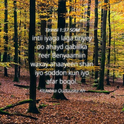 Picture 04 - Tirintii 1:37 SOM - intii iyaga laga tiriyey oo ahayd qabiilka reer - Bible Verse Picture