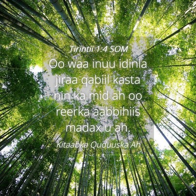 Picture 04 - Tirintii 1:4 SOM - Oo waa inuu idinla jiraa qabiil kasta nin ka mid - Bible Verse Picture